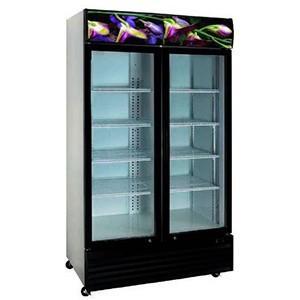 Crusader CCE1130Flower Fridge Double DOOR