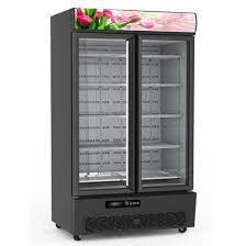 EB36R-Sn-Flower Large Two Door Vertical Flower Fridge