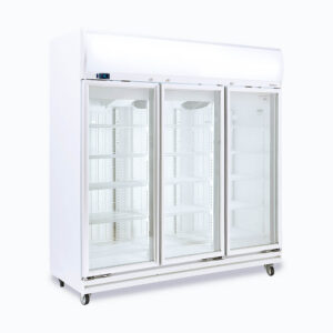 Triple Door Display Freezer