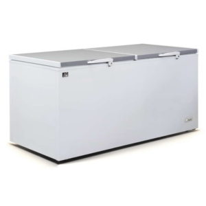 AG BD900S Commercial Chest Freezer – 850 Liters