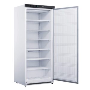 XF600SS Fed-X S/S Upright Static Freezer