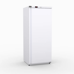 F600V AG Upright Single Door 600L Light-Duty Ventilated Freezer